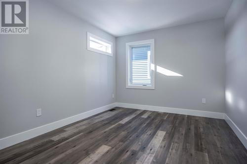 19 Reddley Place, Conception Bay South, NL - Indoor Photo Showing Other Room