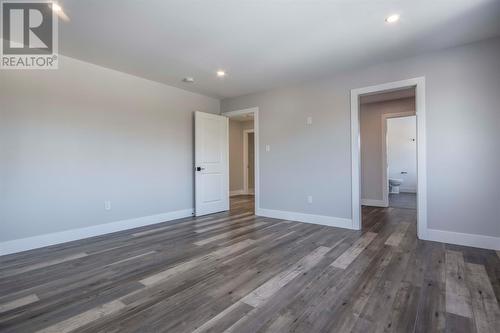 19 Reddley Place, Conception Bay South, NL - Indoor Photo Showing Other Room