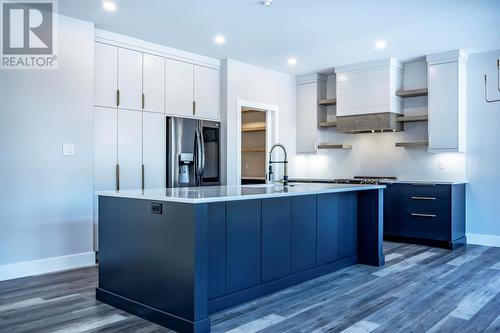 19 Reddley Place, Conception Bay South, NL - Indoor Photo Showing Kitchen With Upgraded Kitchen