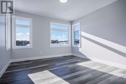 19 Reddley Place, Conception Bay South, NL - Indoor Photo Showing Other Room