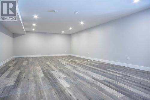 19 Reddley Place, Conception Bay South, NL - Indoor Photo Showing Other Room