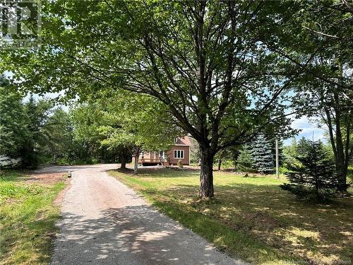 3313 Main Street, Salisbury, NB - Outdoor With View