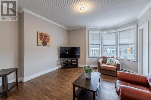 92 Brazil Street, St. John'S, NL - Indoor Photo Showing Living Room