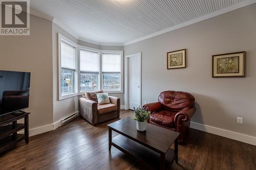 92 Brazil Street, St. John'S, NL - Indoor Photo Showing Living Room