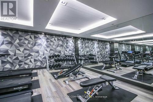 343 - 15 Merchant'S Wharf Way, Toronto (Waterfront Communities), ON - Indoor Photo Showing Gym Room