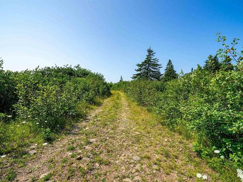 Robicheau Road, Waterford, NS 