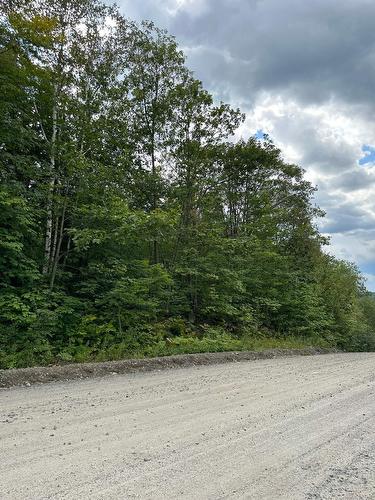 Façade - Mtée Mongeau, Saint-Calixte, QC 