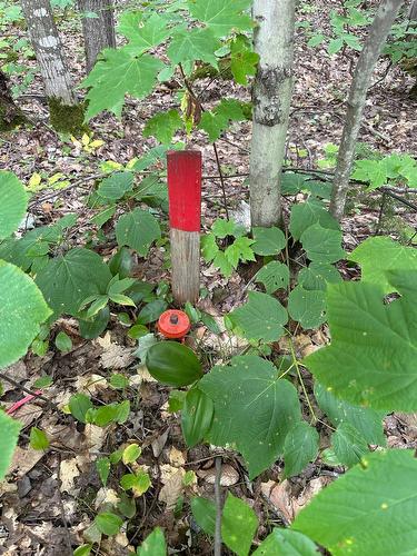 Autre - Mtée Mongeau, Saint-Calixte, QC 