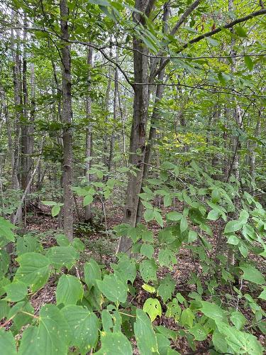Autre - Mtée Mongeau, Saint-Calixte, QC 