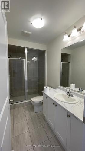 269 Broadacre Drive, Kitchener, ON - Indoor Photo Showing Bathroom