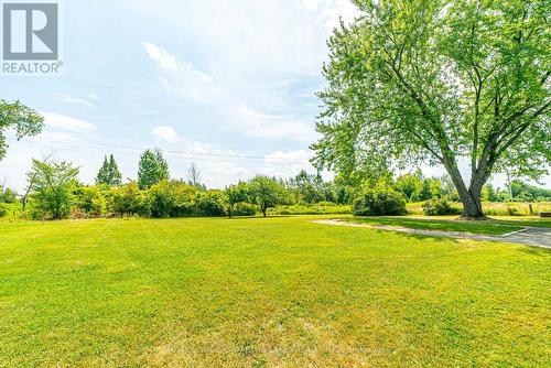 4166 Hwy 35, Kawartha Lakes (Cameron), ON - Outdoor With View