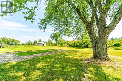 4166 Hwy 35, Kawartha Lakes (Cameron), ON - Outdoor With View