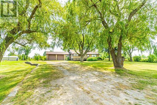 4166 Hwy 35, Kawartha Lakes (Cameron), ON - Outdoor