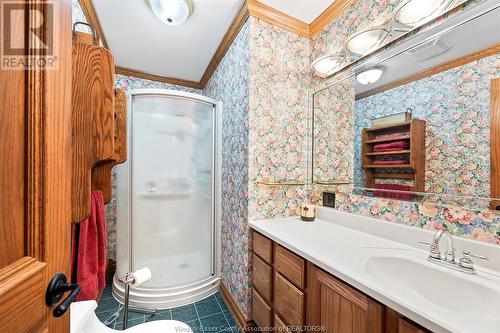 288 Victoria, Essex, ON - Indoor Photo Showing Bathroom