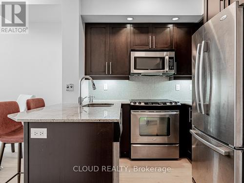 322 - 65 East Liberty Street, Toronto, ON - Indoor Photo Showing Kitchen With Stainless Steel Kitchen With Upgraded Kitchen