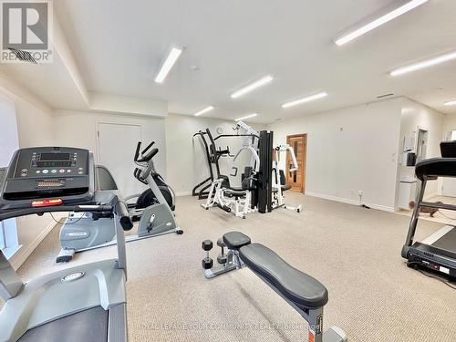 321 - 33 Wallace Street, Vaughan, ON - Indoor Photo Showing Gym Room