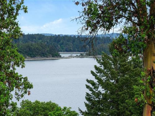 B-100 Gifford Rd, Ladysmith, BC - Outdoor With Body Of Water With View