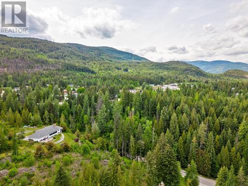 2428 12Th  Avenue, Castlegar, BC - Outdoor With View