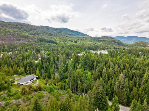 2428 12Th Avenue, Castlegar, BC - Outdoor With View
