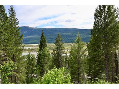 4975 Castledale View Estates Road, Golden, BC - Outdoor With View