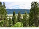 4975 Castledale View Estates Road, Golden, BC  - Outdoor With View 