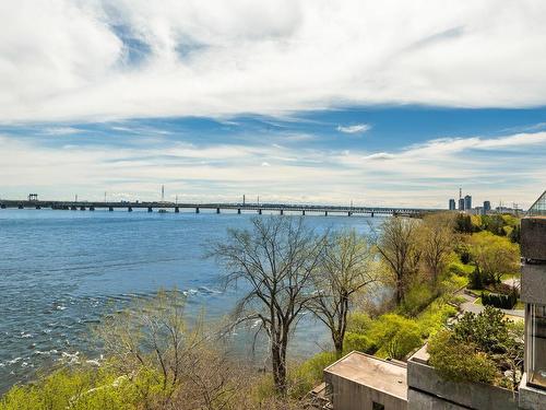 ExtÃ©rieur - 1020-2600 Av. Pierre-Dupuy, Montréal (Ville-Marie), QC - Outdoor With Body Of Water With View