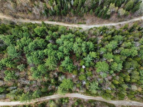 Aerial photo - Ch. Du Lac-Brûlé, Chertsey, QC 