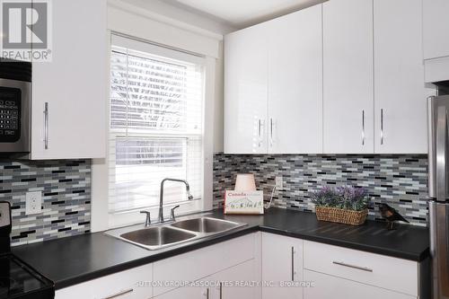 97 Division Street, Guelph, ON - Indoor Photo Showing Kitchen With Double Sink