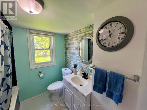 1615 County 46 Road, Kawartha Lakes, ON - Indoor Photo Showing Bathroom