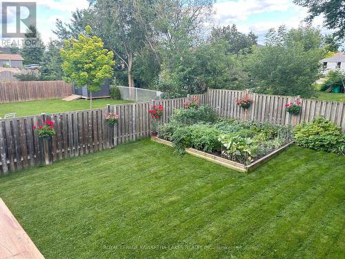 3 Midland Drive, Kawartha Lakes, ON - Outdoor With Backyard