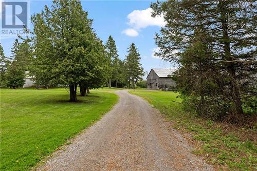 Laneway lined with mature trees - 1005 Maple Hill Road, Oxford Station, ON 