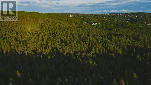 25 Anglican Cemetery Road Extension, Portugal Cove, NL 