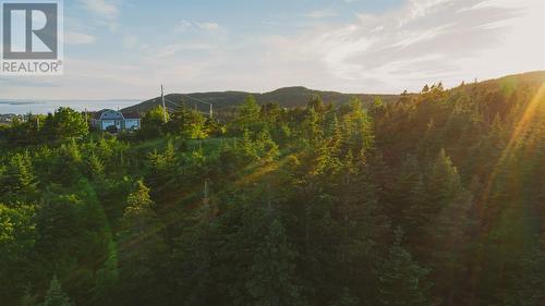 25 Anglican Cemetery Road Extension, Portugal Cove, NL 