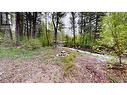 Lot 3/5 Galena School Road, Spillimacheen, BC 