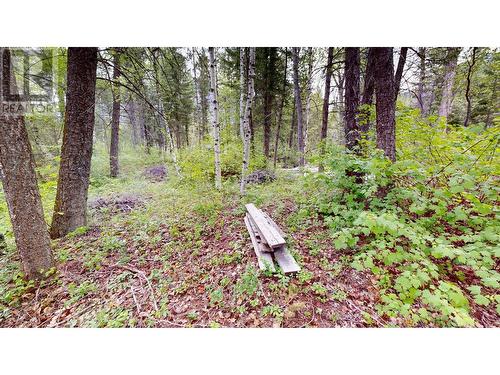 Lot 3/5 Galena School Road, Spillimacheen, BC 