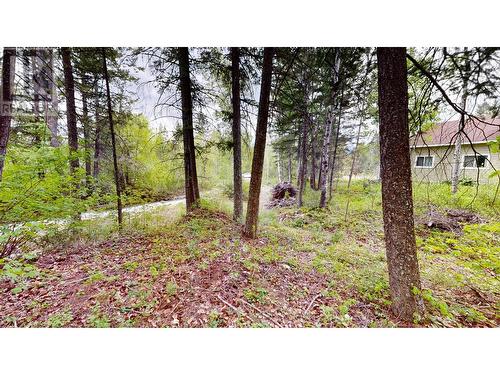 Lot 3/5 Galena School Road, Spillimacheen, BC 