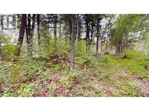 Lot 3/5 Galena School Road, Spillimacheen, BC 