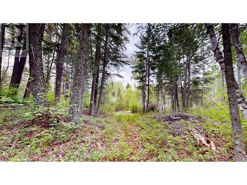 Lot 3/5 Galena School Road, Spillimacheen, BC 