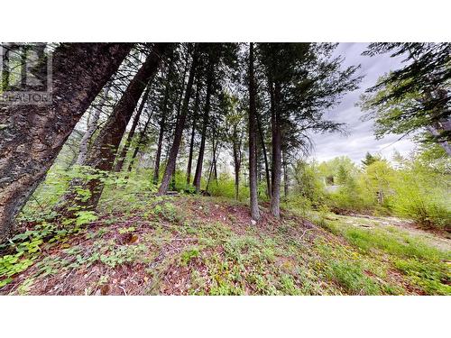 Lot 3/5 Galena School Road, Spillimacheen, BC 