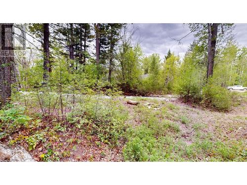 Lot 3/5 Galena School Road, Spillimacheen, BC 