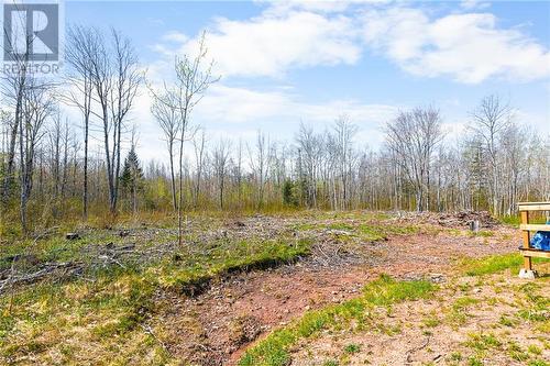 419 Middlesex Rd, Colpitts Settlement, NB - Outdoor With View