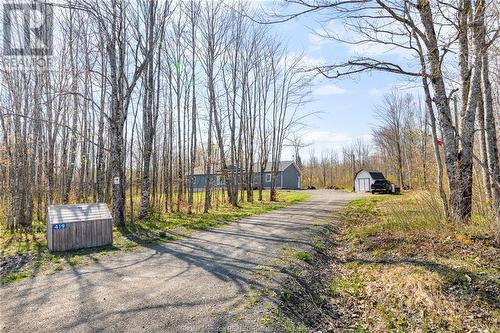 419 Middlesex Rd, Colpitts Settlement, NB - Outdoor With View