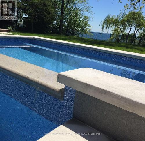 67 Lake Promenade, Toronto W06, ON - Outdoor With In Ground Pool