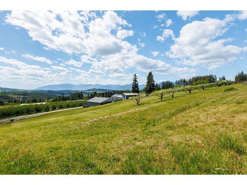 3820 38Th Avenue N, Creston, BC - Outdoor With View