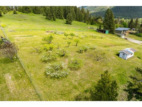 3820 38Th Avenue N, Creston, BC - Outdoor With View