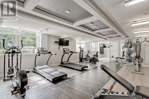 447 - 1575 Lakeshore Road W, Mississauga, ON - Indoor Photo Showing Gym Room
