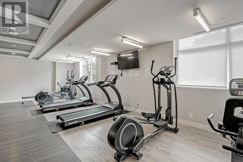 447 - 1575 Lakeshore Road W, Mississauga, ON - Indoor Photo Showing Gym Room