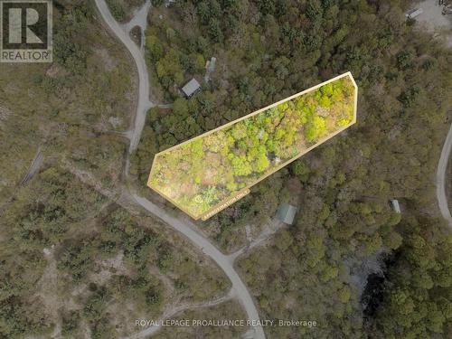 Lot 16 Warrington Lane, Central Frontenac, ON 