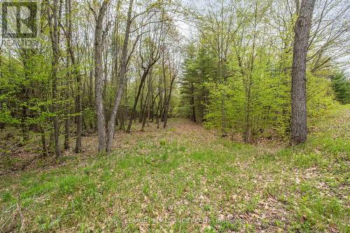 Lot 16 Warrington Lane, Central Frontenac, ON 