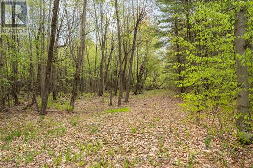 Lot 16 Warrington Lane, Central Frontenac, ON 